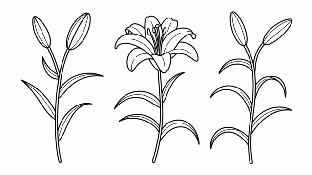 vector illustration of a flower