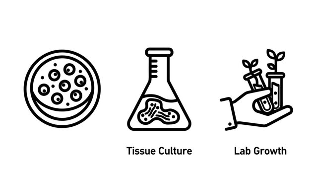 Petri dish tissue culture flask lab growth icons with test tube plant science research experiment laboratory seedling medicine microbiology biotechnology chemistry analysis discovery