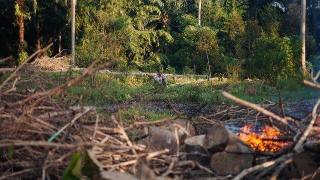 Rural man performing slash and burn farming in deforested area