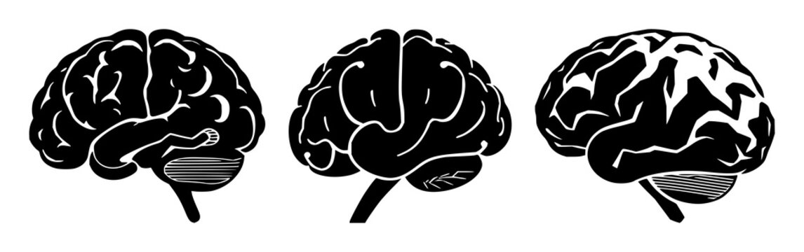 Brain synapse icon set with solid black line illustration featuring neurology, neural, black icon, white background with neural anatomy and vector graphics