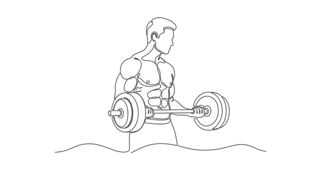 Bodybuilder doing barbell curls, single line drawing of fitness, muscular