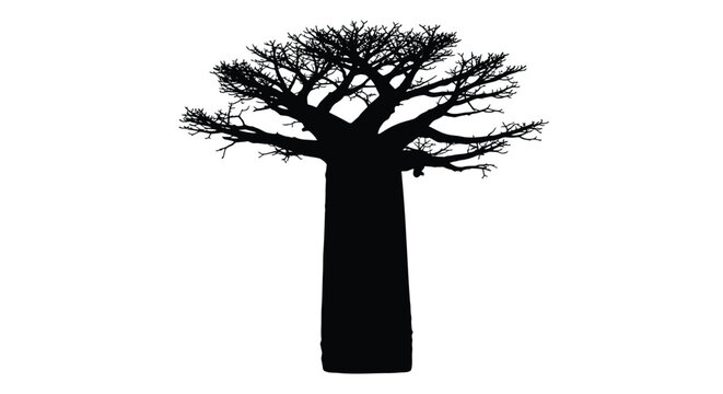 Baobab tree silhouette against a white background