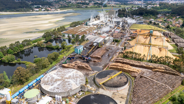 Ence pulp mill processing wood materials in pontevedra