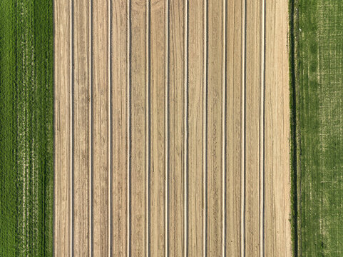 Aerial view of plowed agricultural fields with parallel furrows and green crops on the sides in Borgo d'Ale, Piedmont, Italy.