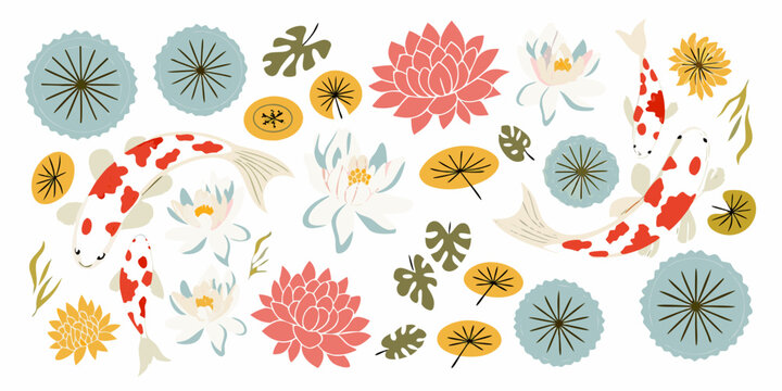 Koi fish and lotus flowers flat vector illustration on white background