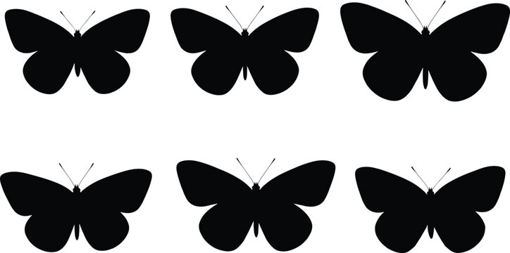 Cabbage white butterfly silhouettes set. Professional cabbage white butterfly vector icons for nature design. Realistic cabbage white butterfly shapes for biology and entomology study.