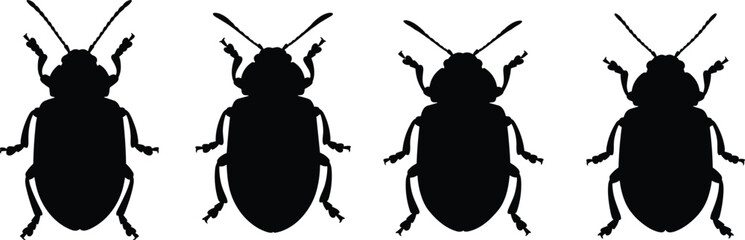 Leaf beetle silhouettes set. Detailed beetle vector icons for agriculture. Realistic insect shapes for botanical pest control, nature study, and biological design. © Olivia