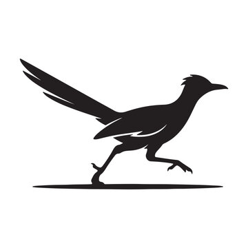 Bird of roadrunner silhouette vector flat illustration design.Adobe Illustrator Artwork