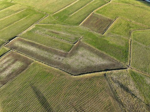 Aerial view of geometric agricultural fields with green grass and tilled soil under soft sunlight in Rivalta di Torino, Piedmont, Italy.