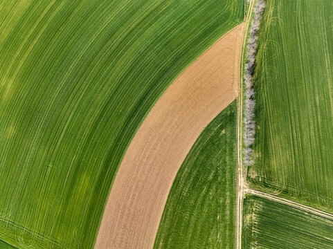 Aerial view of vibrant green agricultural fields with linear patterns, a curved patch of brown soil, and a dirt path lined with bare trees in Rivalta di Torino, Piedmont, Italy.
