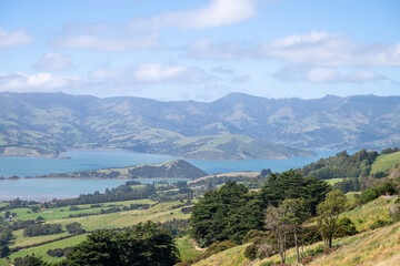 Fototapeta premium Akaroa