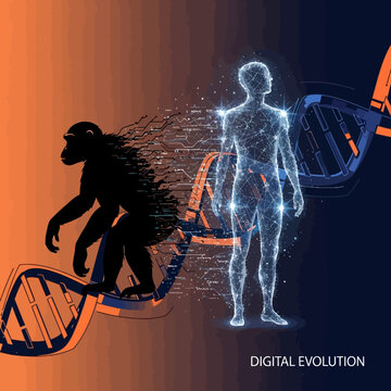Evolutionary Transformation from Ape to Human through DNA Helix and Digital Means