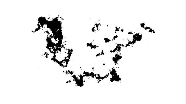 Black ink animation, watercolor paint splatter flow and stream transition filling white background with abstract matte effect, 4k motion graphics video
