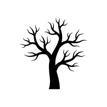 Silhouette of Bare Tree: A stark silhouette of a solitary tree, stripped bare of its leaves, stands against a blank backdrop, its branches reaching skyward in a stark yet graceful pose.