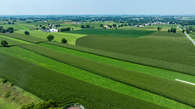 Rows of green crops cover the land in a rural area. The farms are surrounded by trees and a clear sky. The scene shows a peaceful countryside during a sunny day.
