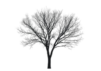 Obraz premium Bare Tree Silhouette Halftone Vector Illustration in Black and White Retro Style for Graphic Design Clipart