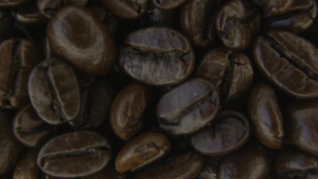 Rotating Coffee Bean Texture Background Macro Shot.