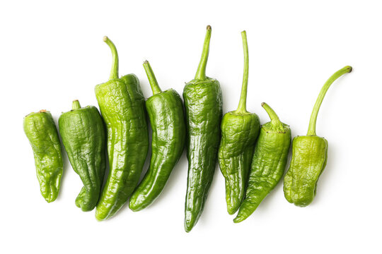 Fresh green padron peppers isolated on white background. Organic chili vegetables close up. Raw cooking ingredients for healthy meals. Natural food arrangement with copy space