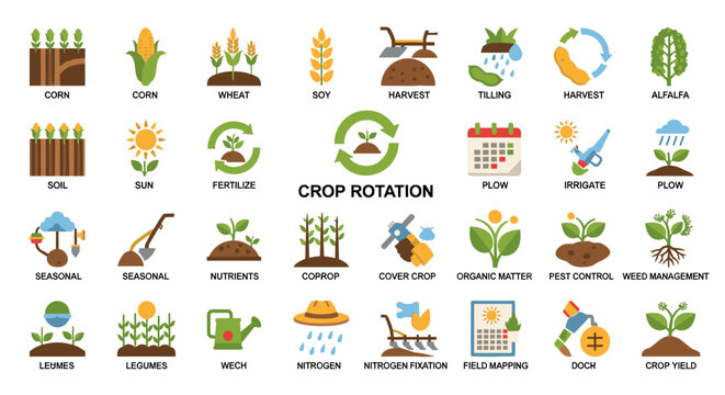 Colorful flat vector icons depicting crop rotation, showcasing agriculture, farming, and sustainable practices with various plants, soil elements, and farming tools, perfect for