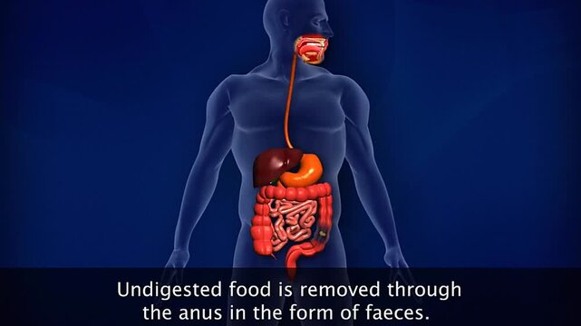 Removal of feces from body