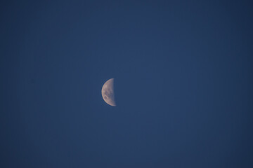 Media luna brillando en un cielo de crepúsculo azul profundo, detalles astronómicos de la superficie lunar © SeVPH