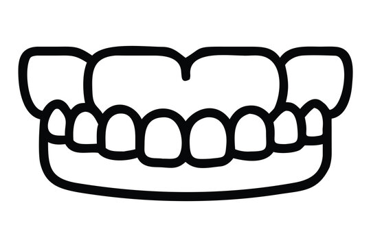 Outline illustration of upper and lower teeth, representing dental health, anatomy, and oral hygiene concepts.
