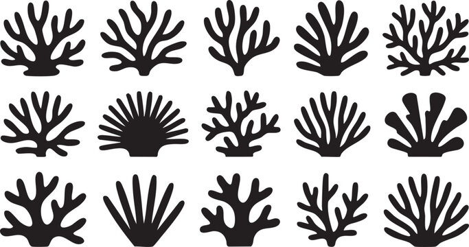 Coral reef or seaweeds vector underwater plant icons. Naive style leaves, algae or fronds. Hand drawn vector ink illustration. Modern style organic corals, aesthetic underwater plants and branches