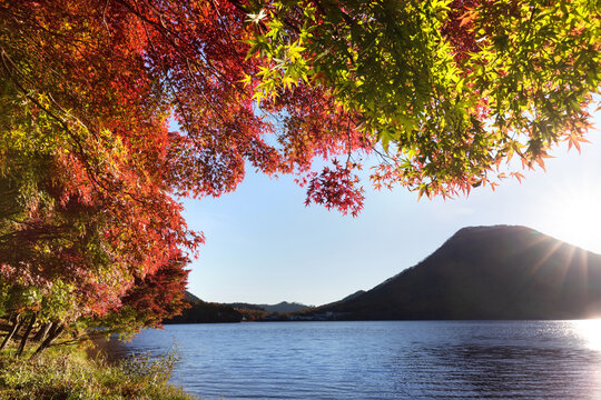 View of Mount Haruna through glowing autumn leaves at Lake Haruna, Gunma, Japan