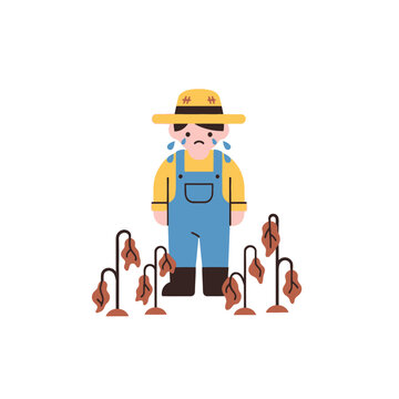Sad farmer crying over dead crops, drought and agriculture crisis concept