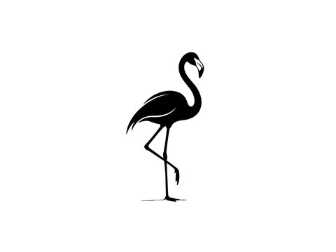 Black silhouette flamingo standing on one leg isolated on transparent background, Vector