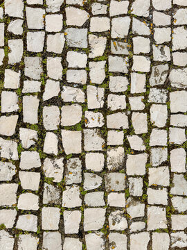 Top view of traditional Portuguese cobblestone pavement with green moss and grass between white limestone rocks. Authentic Cal&ccedil;ada Portuguesa texture