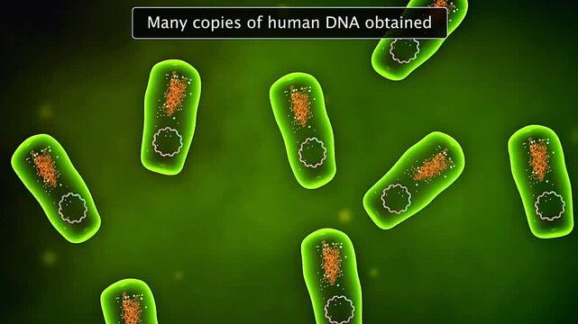 DNA Amplification of Human Genome project
