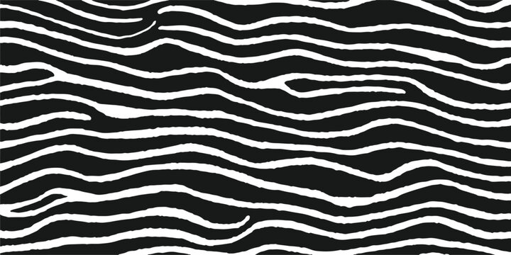Abstract black and white wavy lines zebra animal print seamless pattern background graphic vector illustration.