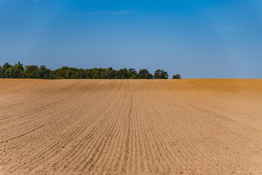 Landscape with an empty plowed field at the end of summer