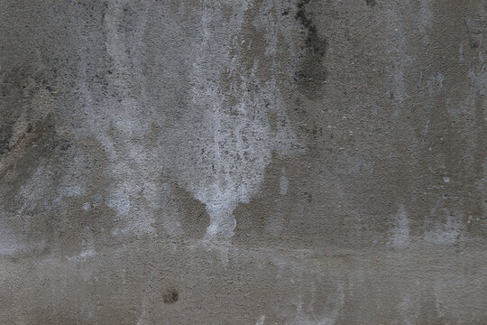white efflorescence salt deposits