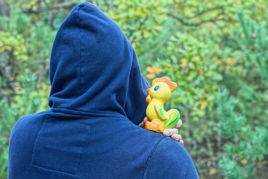 A man in a dark blue hoodie stands with his back to the camera in the forest and holds a bright toy in the form of a chicken. The autumn nature in the background creates an atmosphere of solitude