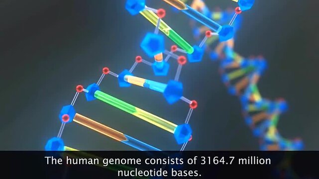 Findings of the human genome project