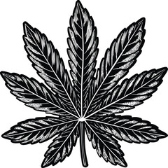 Cannabis leaf, marijuana symbol, black and white icon, vector illustration © Gpx