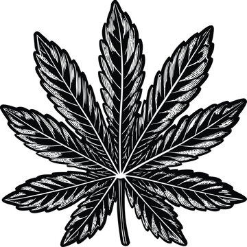 Cannabis leaf, marijuana symbol, black and white icon, vector illustration