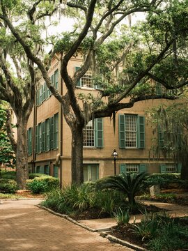 A historic building surrounded by lush greenery and tall trees draped in Spanish moss at the College of Charleston in Charleston, South Carolina