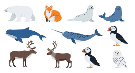 Arctic Animals Collection: Polar Bear, Fox, Seal, Whale, Narwhal, Reindeer, Puffin, Owl © MHM99