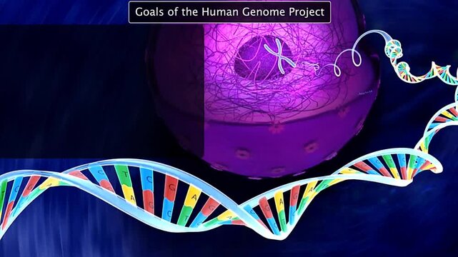 Goals of the human genome project