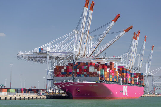 Le Havre, France - August 22nd 2019 : View on the container Ship ONE CYGNUS alongside at port of Le Havre in the Port 2000 terminal with ship to shore container cranes.