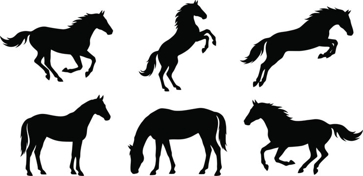 Black horse silhouettes set, 6 vector stallion icons in various poses, galloping and jumping equine figures, wild mustang animal profiles