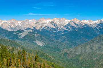 Fototapeta premium A stunning view of the jagged, snow-dusted peaks of the Great Western Divide seen across a forested valley in the Sierra Nevada.