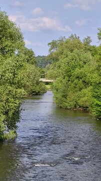 Vertical 4K slow motion shot of a wide river flowing through a lush green forest under a blue cloudy sky. Steady camera, 100 Mbps bitrate, cinematic 24 fps. Peaceful nature scene.