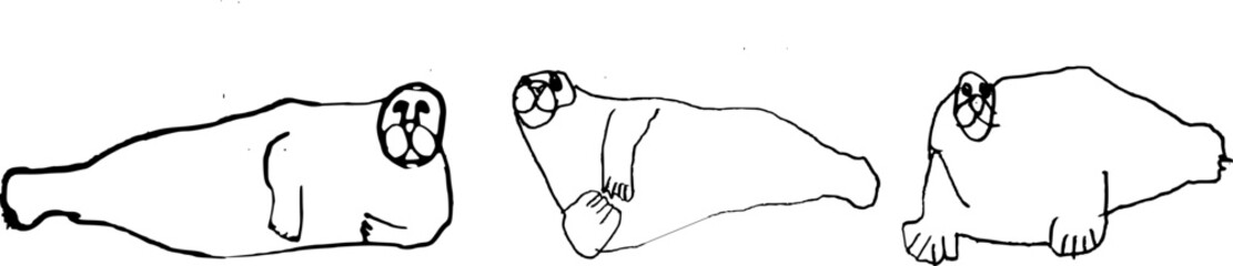 Bearded seal in the Arctic desert: pencil drawing © Parakhat