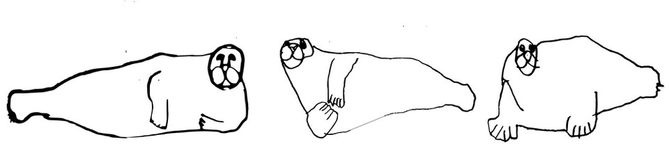 Bearded seal in the Arctic desert: pencil drawing © Parakhat
