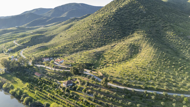 Aerial view of the terraced hillsides and olive groves of Barca de Alva with a winding road and rural houses near the river in Figueira de Castelo Rodrigo, Distrito da Guarda, Portugal.