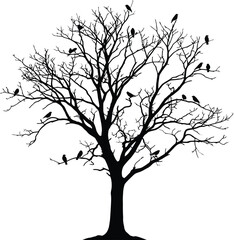 Fototapeta premium Bare tree with birds silhouette against a white background